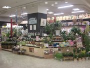 「聖花園日永カヨー店」　（三重県四日市市）の花屋店舗写真2